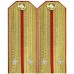 Береговая служба ВМФ СССР. Младший офицерский состав, погоны обр. 1943 г..